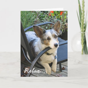 Tarjeta Cumpleaños del Corgi