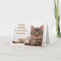 **CUMPLEAÑOS DEL COTRABAJADOR DE CAT LOVER**