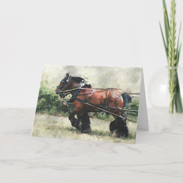Tarjeta cumpleaños del equipo de caballos (Anverso)