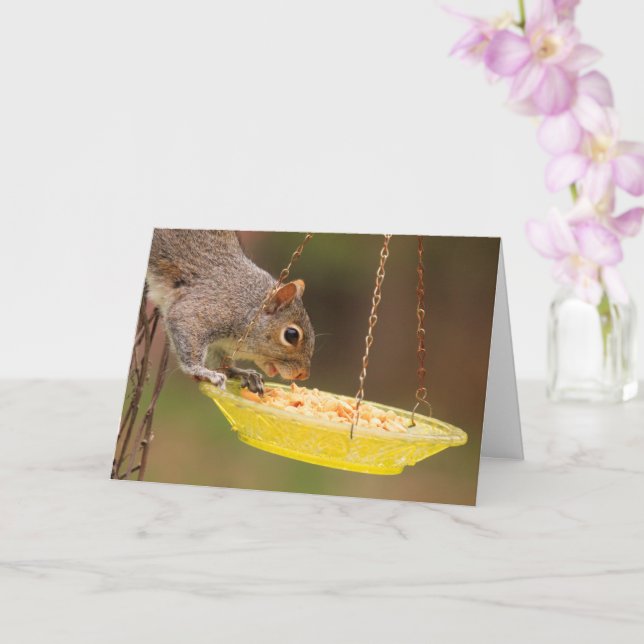 Tarjeta Cumpleaños del festival de alimentos Squirrel (Orquídea)