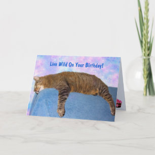 Tarjeta Cumpleaños del Fiesta Super Lazy