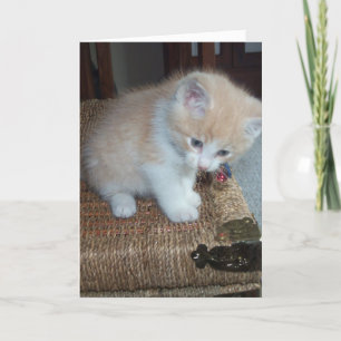 Tarjeta Cumpleaños del gatito