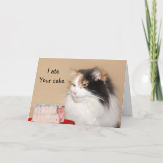 Tarjeta Cumpleaños del gato de calicó