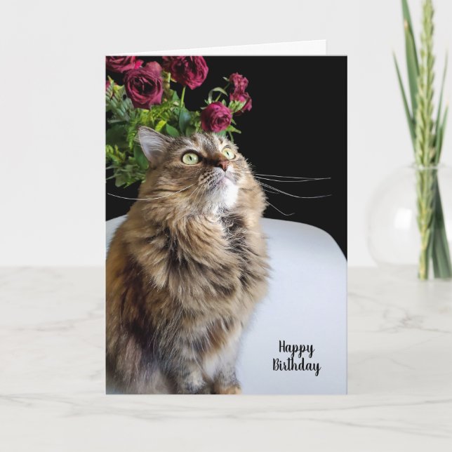Tarjeta Cumpleaños del gato Maine Coon (Anverso)