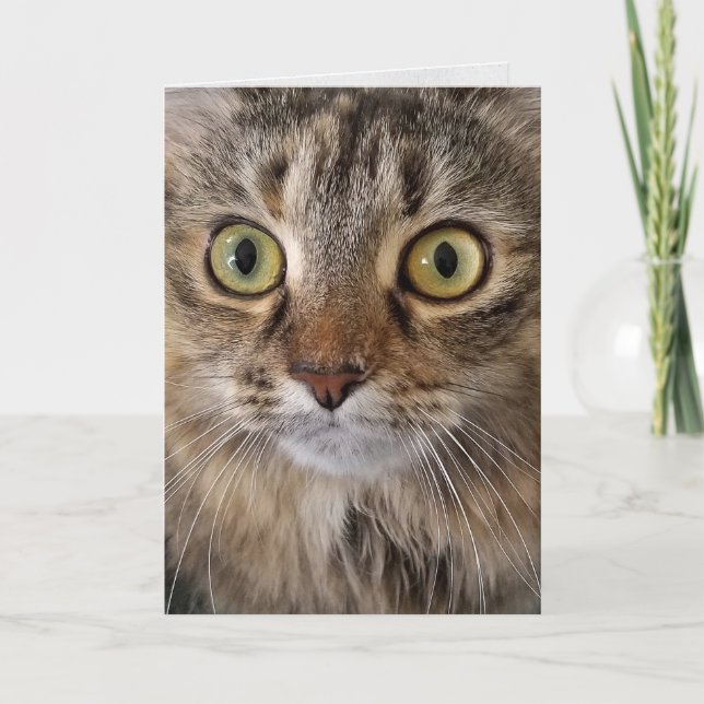 Tarjeta Cumpleaños del gato Maine Coon (Anverso)
