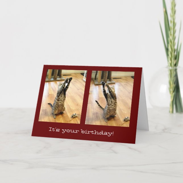 Tarjeta Cumpleaños del gato Tabby Dancing (Anverso)