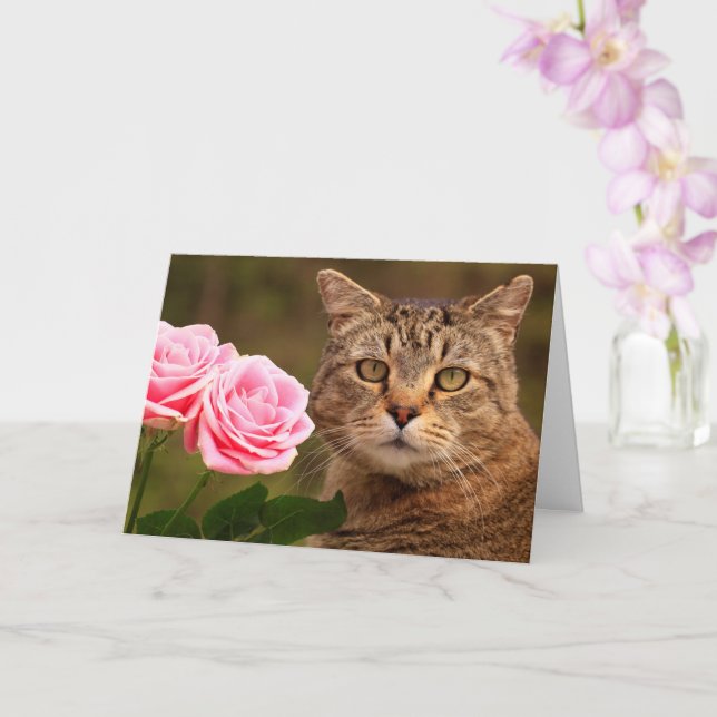 Tarjeta Cumpleaños Del Gato Y Dos Rosas (Orquídea)