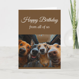 Tarjeta Cumpleaños del Grupo Perros Divertidos Mascotas An