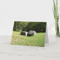 Cumpleaños del hermano - Dos rocas