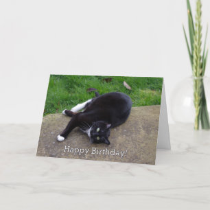 Tarjeta Cumpleaños del Humor del Gato