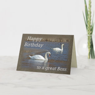 Tarjeta Cumpleaños del Jefe - Cisnes mudas en estanque de