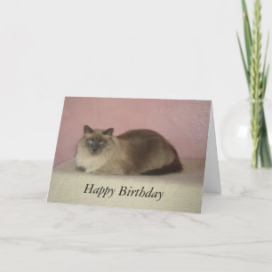 Tarjeta Cumpleaños del maullido del gato