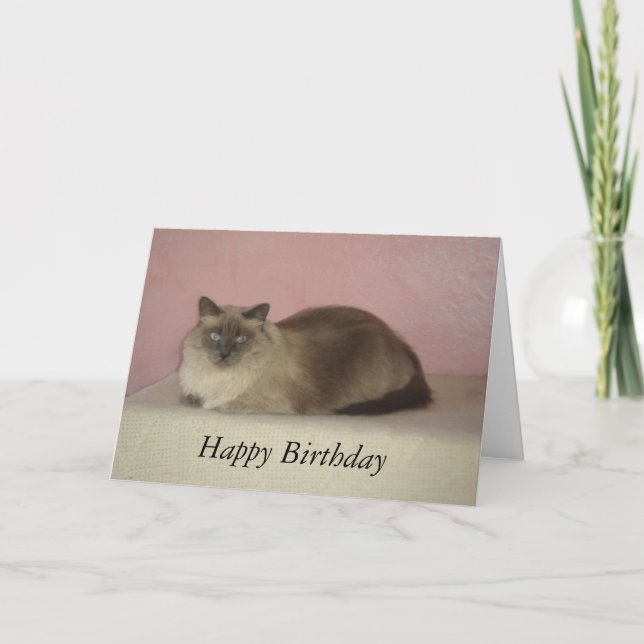 Tarjeta Cumpleaños del maullido del gato (Anverso)