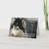 Cumpleaños del perro con humor