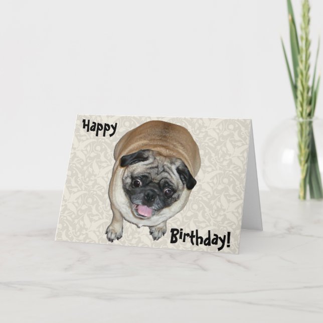 Tarjeta Cumpleaños del perro de pug de Cute (Anverso)