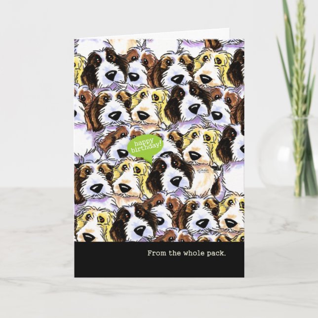 Tarjeta Cumpleaños divertida de los perros del grupo PBGV (Anverso)