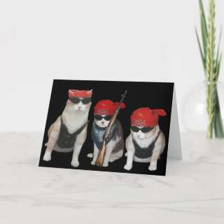 Tarjeta Cumpleaños divertido, adaptable de los gatos del