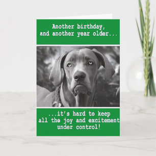 Tarjeta Cumpleaños divertido con foto de perro personaliza