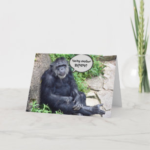 Tarjeta Cumpleaños divertido de chimpancé