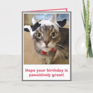 Tarjeta Cumpleaños divertido de gato