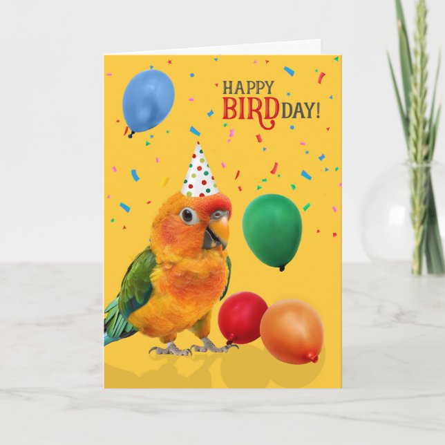 Tarjeta Cumpleaños divertido de loro conure sol (Anverso)