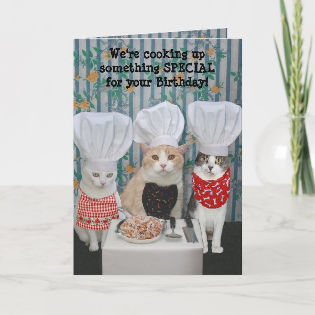 Tarjeta Cumpleaños divertido de los gatos del cocinero (Anverso)