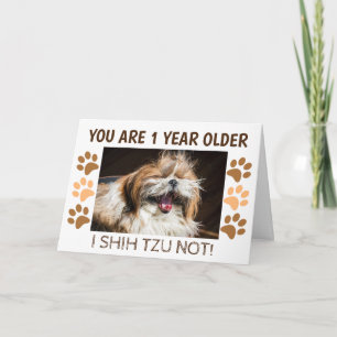 Tarjeta Cumpleaños divertido de Shih tzu no es gracioso 1