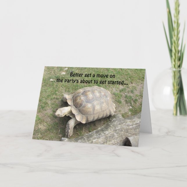 Tarjeta Cumpleaños divertido de tortuga (Anverso)