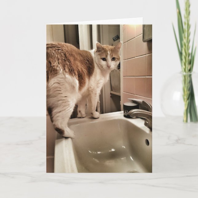 Tarjeta Cumpleaños divertido del amante del gato (Anverso)