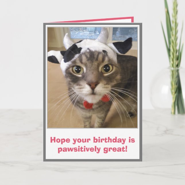 Tarjeta Cumpleaños Divertido del Gato (Anverso)