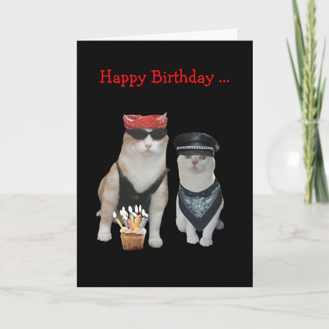Tarjeta Cumpleaños divertido del gato del motorista (Anverso)