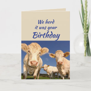 Tarjeta Cumpleaños divertido del grupo humor de vaca anima