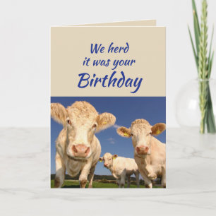 Tarjeta Cumpleaños divertido del grupo humor de vaca anima