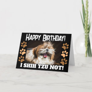 Tarjeta Cumpleaños divertido Shih tzu no se ríe Saludo Fel