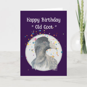 Tarjeta Cumpleaños divertido sobre el viejo coot pájaro hu