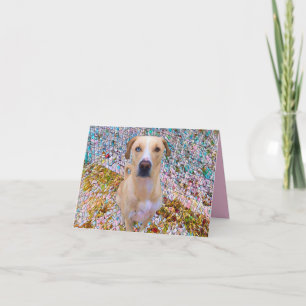 Tarjeta Cumpleaños! Estilo mosaico - Perro de ojos azules