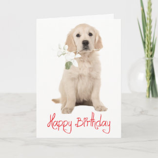 Tarjeta  Cumpleaños Feliz Cachorro Perrito Flor Retriever 
