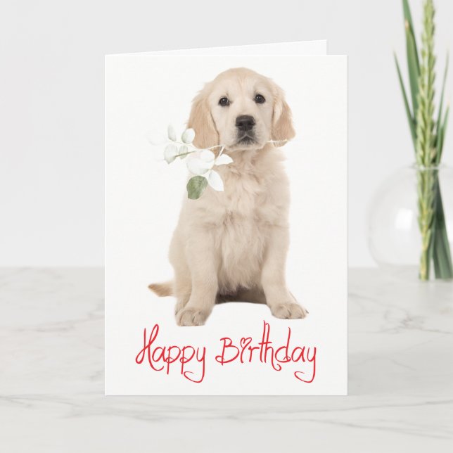Tarjeta  Cumpleaños Feliz Cachorro Perrito Flor Retriever  (Anverso)