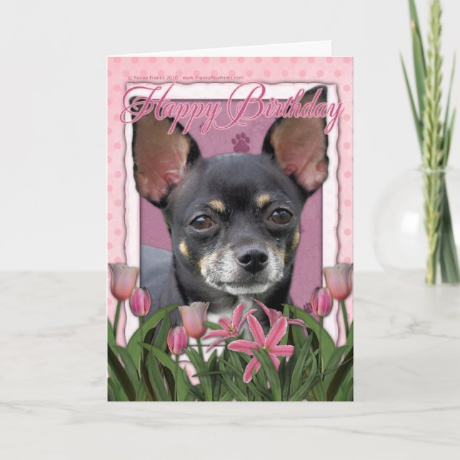 Tarjeta Cumpleaños feliz - Chihuahua - Isabella (Anverso)