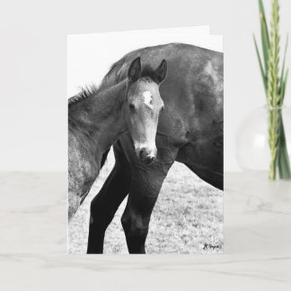 Tarjeta Cumpleaños feliz de Colt