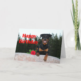 Tarjeta cumpleaños feliz de rottweiler