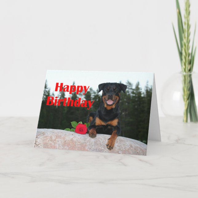 Tarjeta cumpleaños feliz de rottweiler (Anverso)