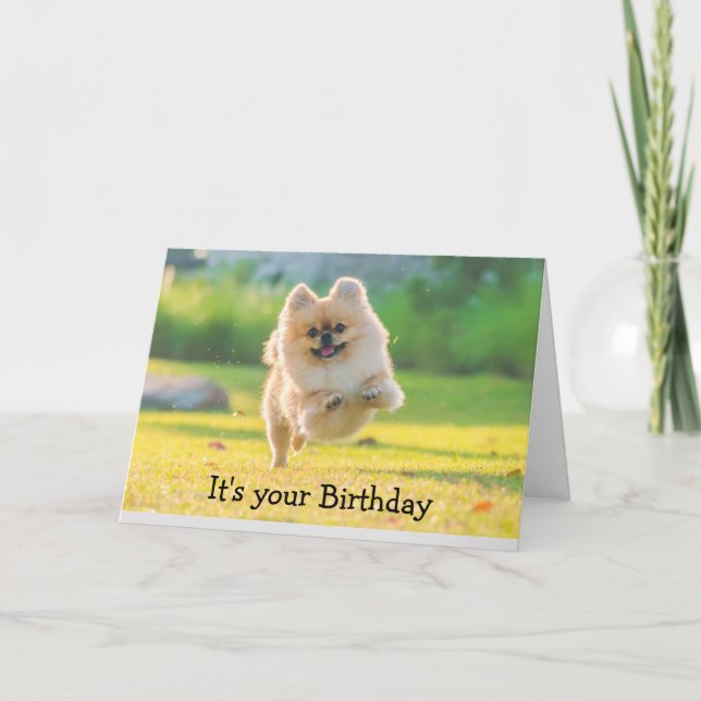 Tarjeta Cumpleaños Feliz Diversión Perro Pomerano (Anverso)