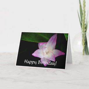 Tarjeta Cumpleaños Feliz Flor Rosa Delicada