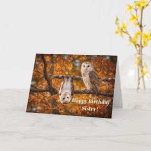 Tarjeta Cumpleaños Feliz Humor Divertido con Dos Búhos par