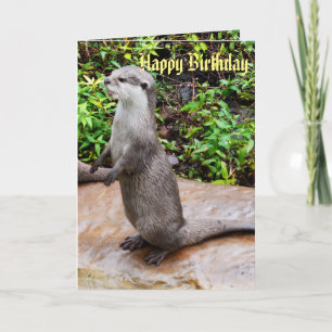 Tarjeta Cumpleaños Feliz Nutria Gris de Pie