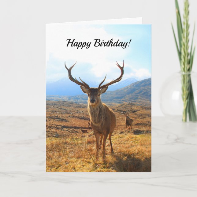 Tarjeta Cumpleaños feliz para una persona venada (Anverso)