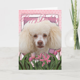 Tarjeta Cumpleaños feliz - Poodle