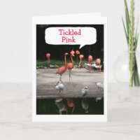 CUMPLEAÑOS FLAMENCOS DE CUMPLIDOS ESTÁN "ENCANTADO