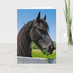 Tarjeta cumpleaños frisio negro del caballo